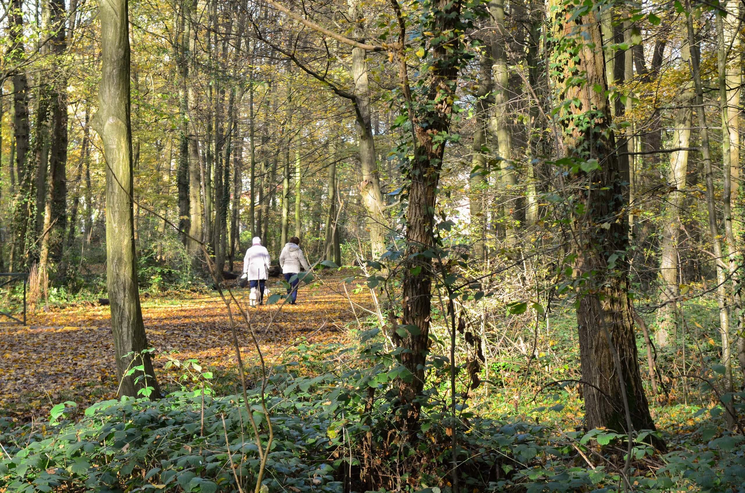 promeneurs-bois-coudreaux