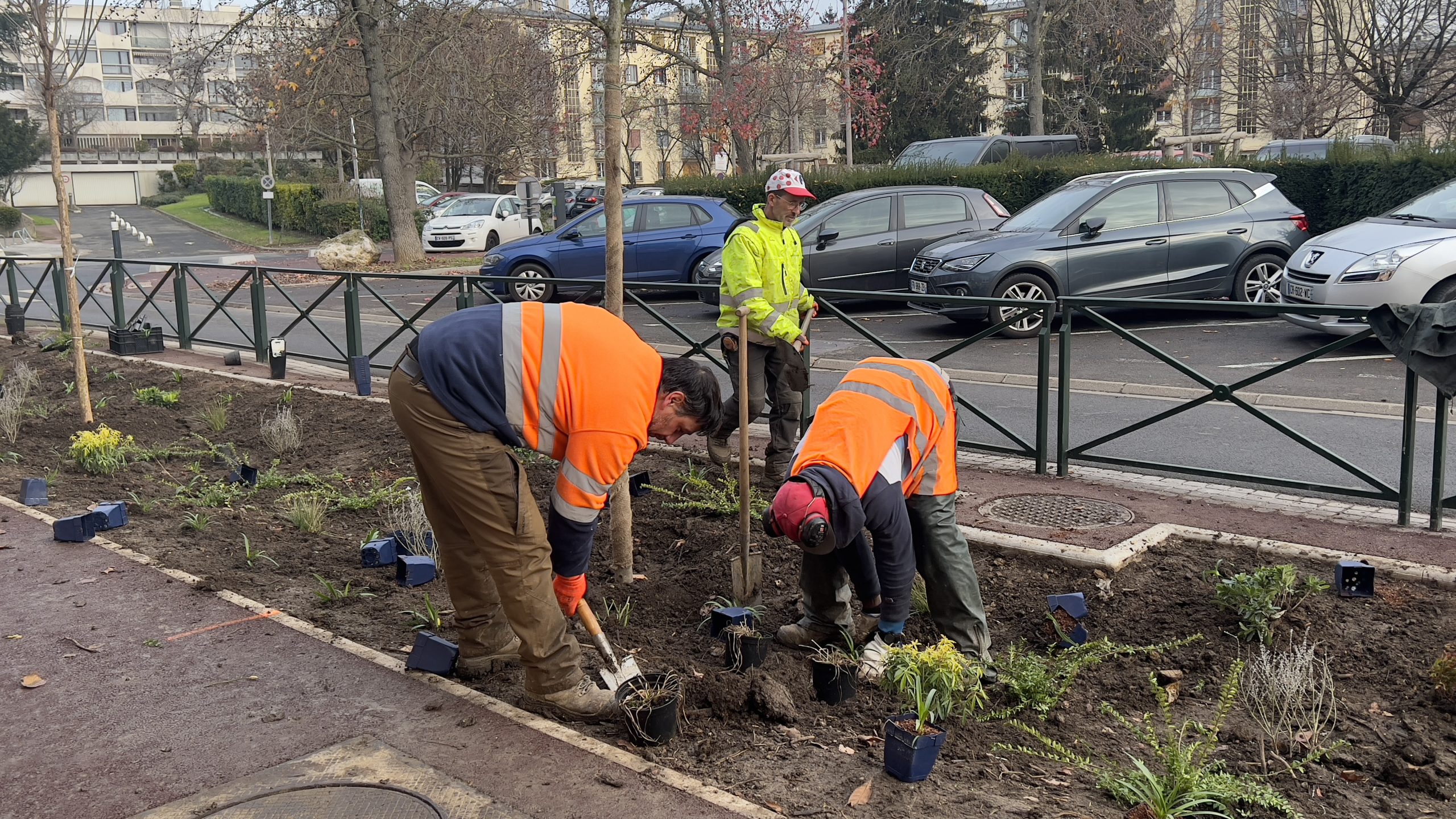 La Ville de Chelles continue de développer son patrimoine arboré