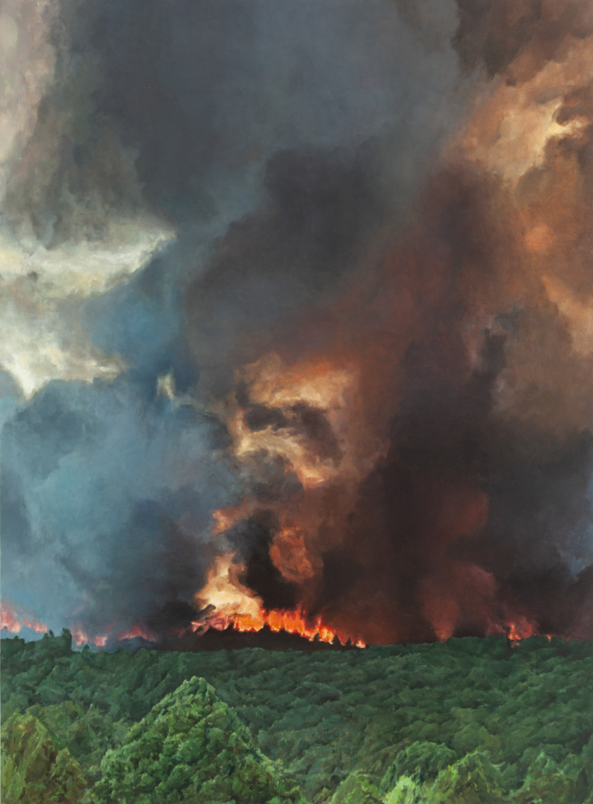 Exposition That Fearful Sound of Fire and Fire de Damien Cadio