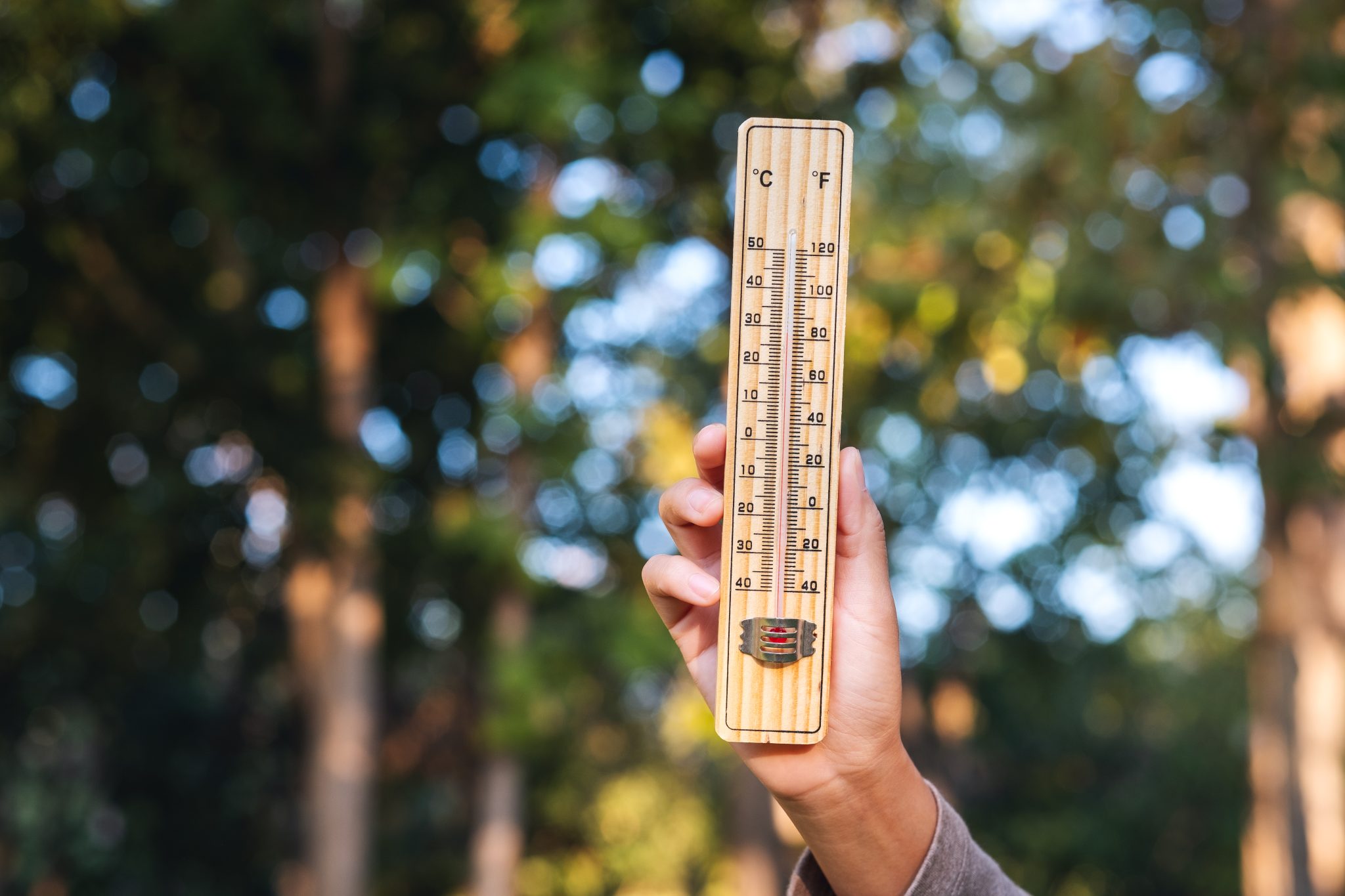 Prévention canicule