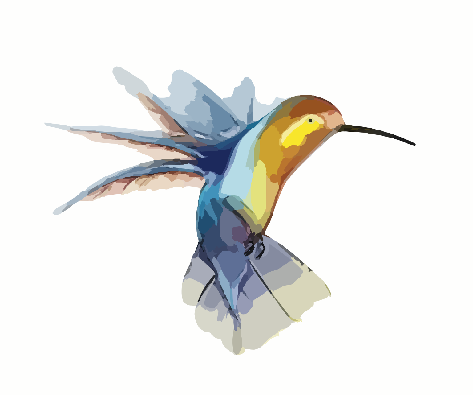 bird-295026_1920