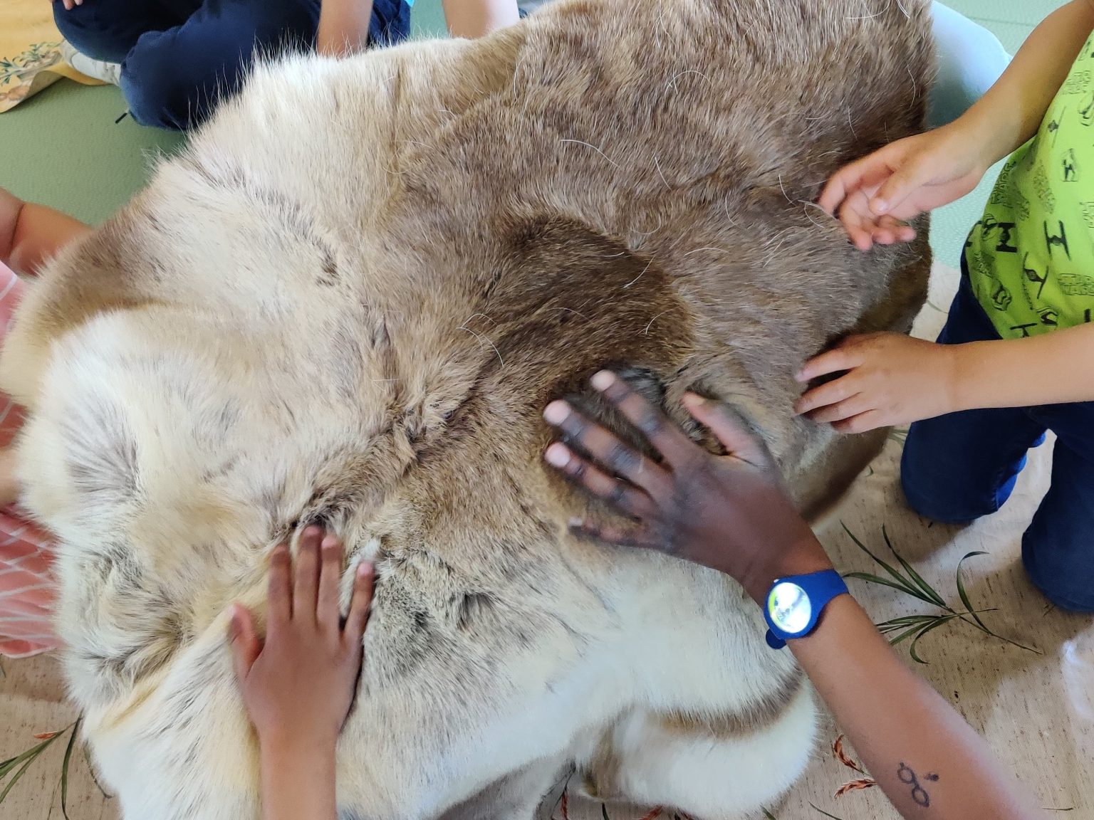 OG-Voyage d'ayla-Archéotrucs