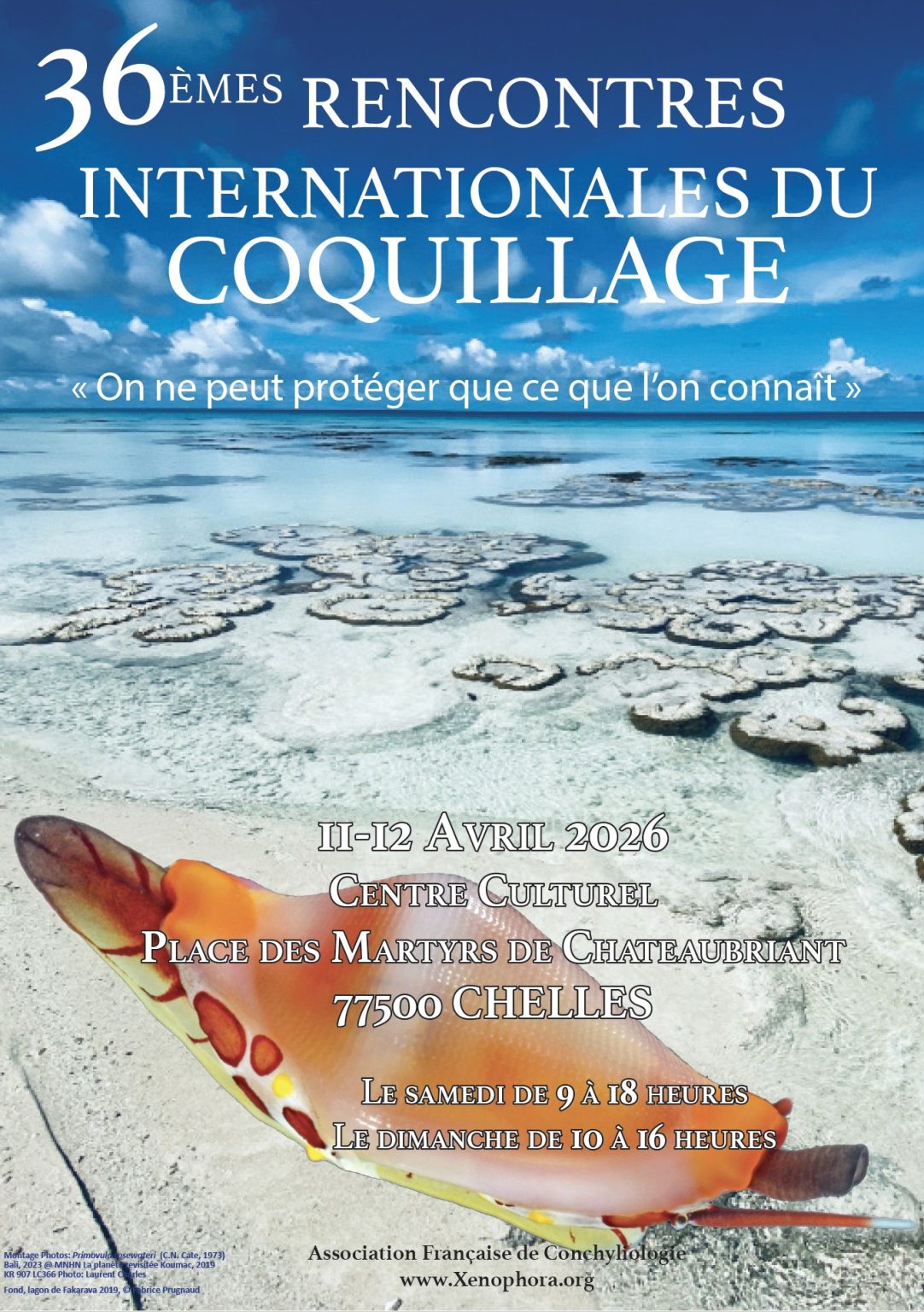 Salon des coquillages