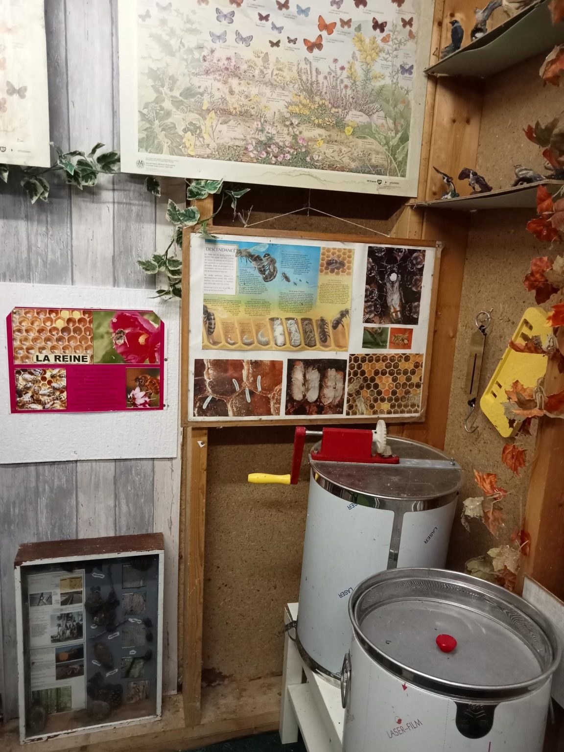 25_Luciole Vairoise_produits ruche