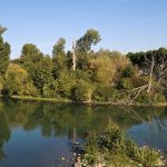 ReserveNaturelleRegionaleIlesDeChelles