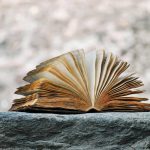 trixieliko-book-2341083