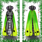 insectes